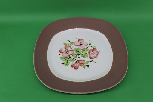 [PKE-004] Dinner Plate