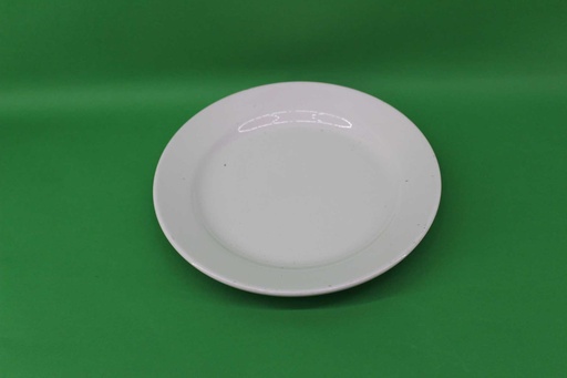 [PKE-029] Dinner Plate