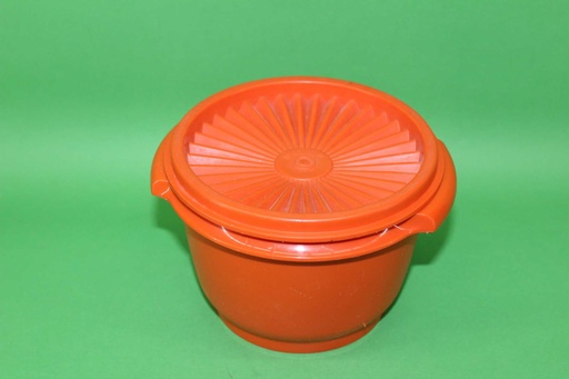 [PKE-055] Tupperware