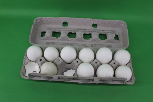 [PKF-055] Egg Carton