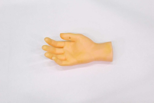 [PMB-009] Human Hand