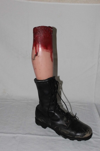 [PMB-029] Severed Leg