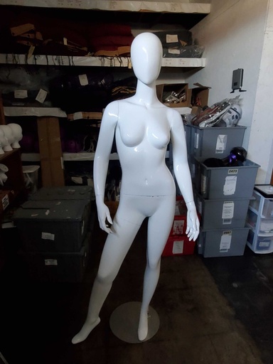 [PMF-013] Female Mannequin