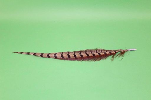 [PMO-015] Feather Quill