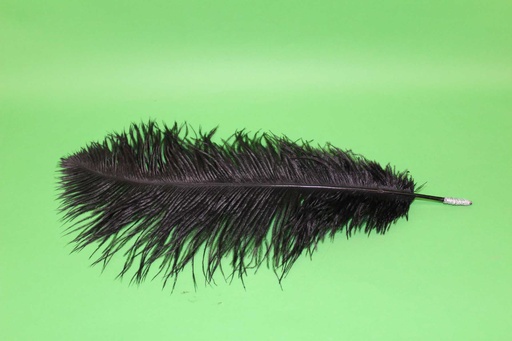 [PMO-016] Feather Quill