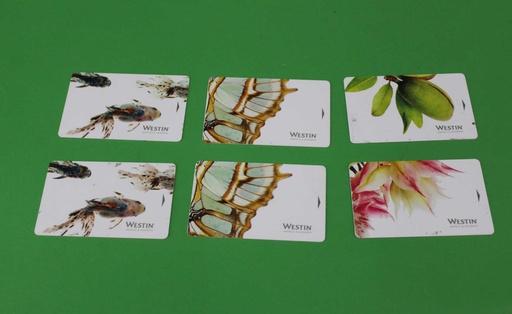 [PMO-040] Hotel Key Card