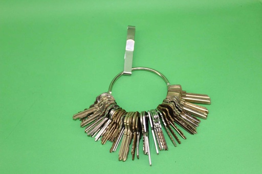 [PMO-049] Janitor Keys