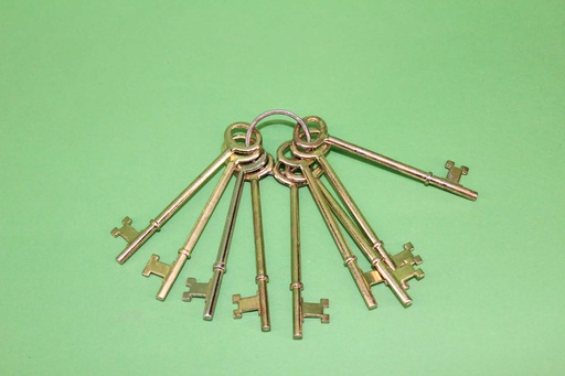 [PMO-052] Skeleton Keys