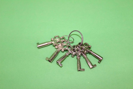[PMO-054] Handcuff Keys