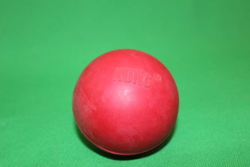 [PMP-004] Fetch Ball