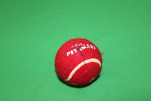 [PMP-005] Tennis Ball