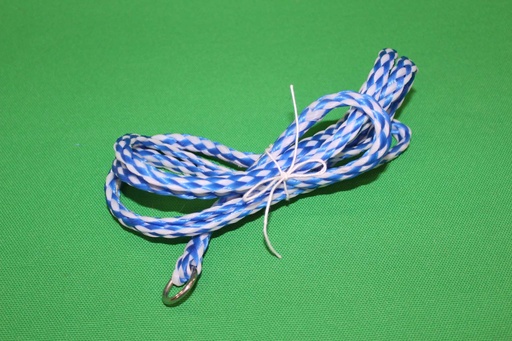 [PMP-007] Leash