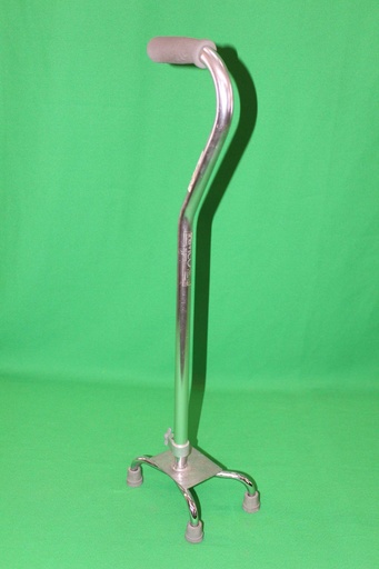 [PPC-010] Straight Cane