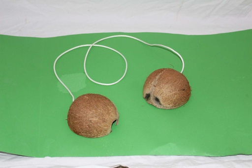 [PPM-023] Coconut Halves