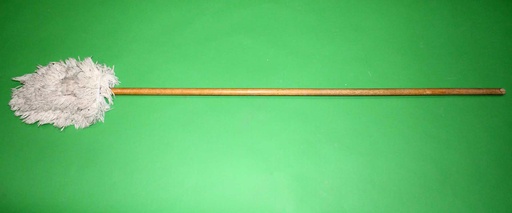 [PPT-002] Mop