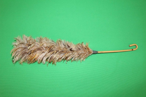 [PPT-020] Feather Duster