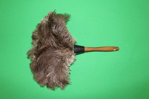 [PPT-021] Feather Duster