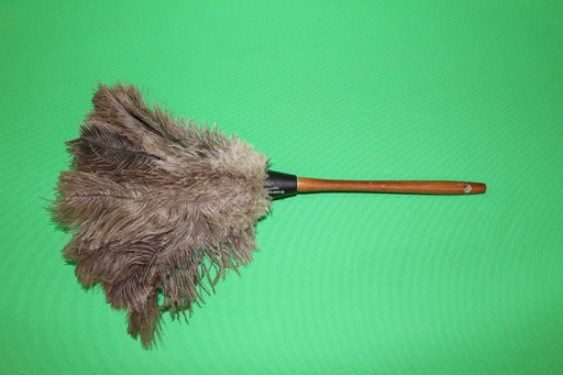 [PPT-022] Feather Duster