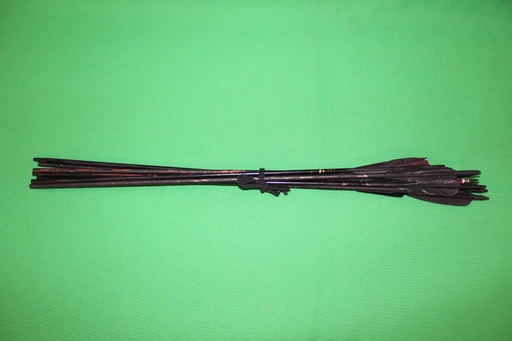 [PPW-046] Quiver & Arrows