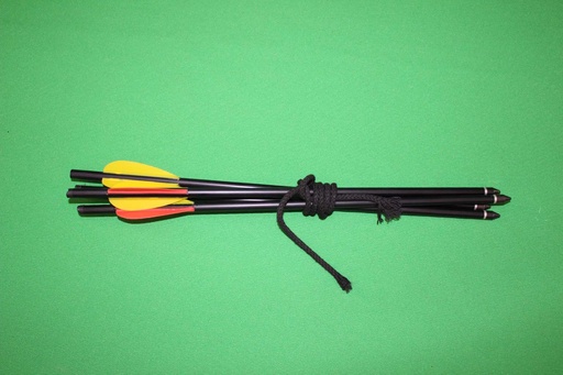 [PPW-048] Crossbow Arrows