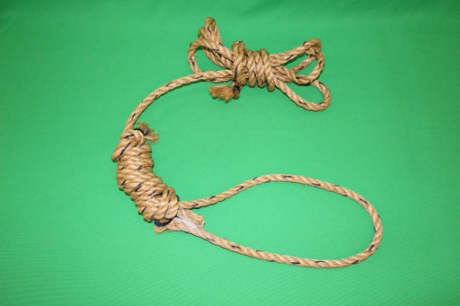 [PPW-069] Noose
