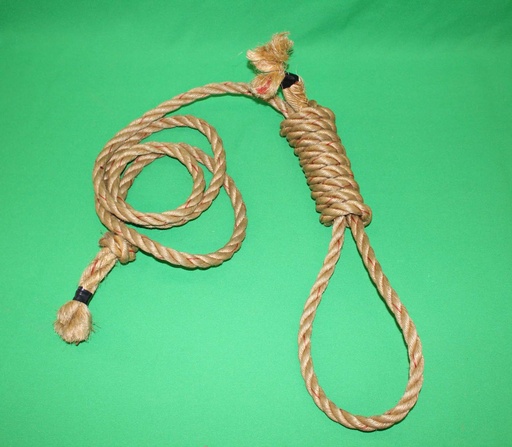 [PPW-070] Noose