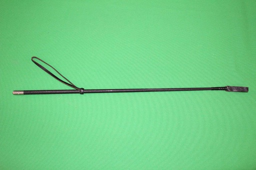[PPW-075] Riding Crop