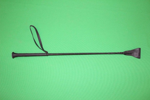 [PPW-076] Riding Crop
