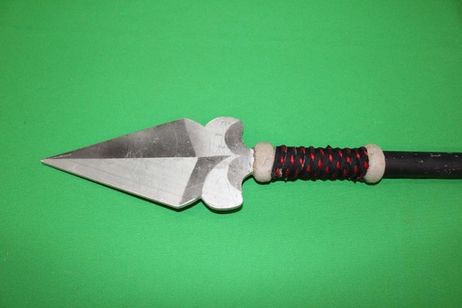 [PPW-096] Spear