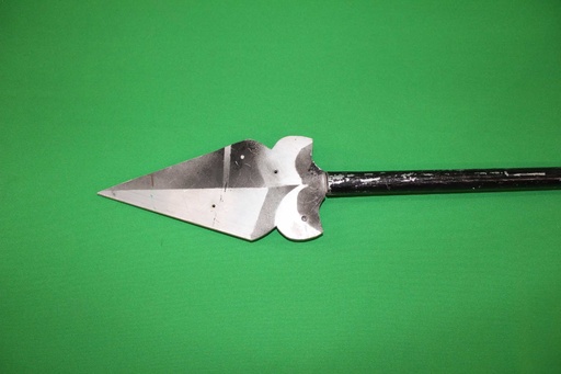 [PPW-099] Spear