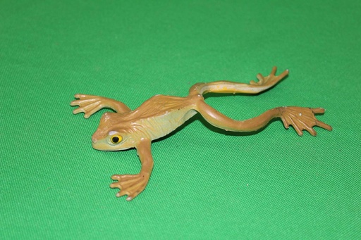 [PTA-008] Toy Frog