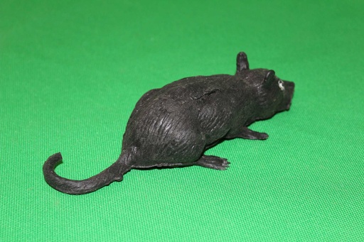 [PTA-009] Toy Rat