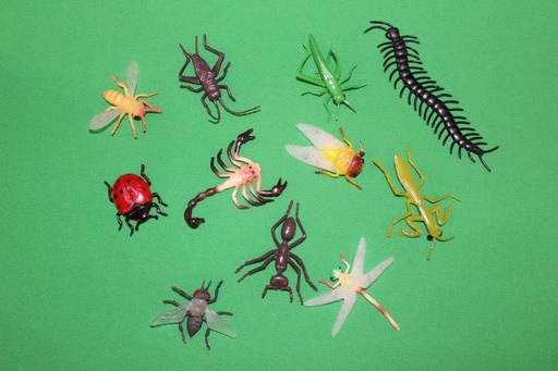 [PTA-016] Toy Insects