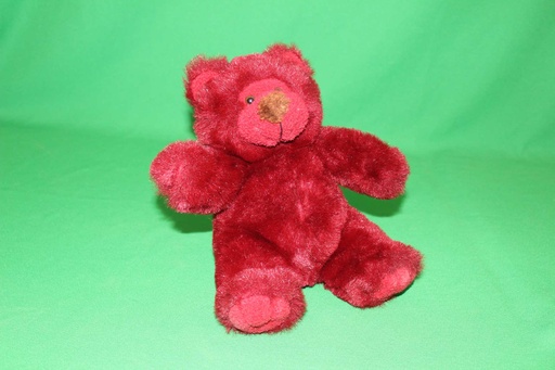 [PTA-024] Teddy Bear
