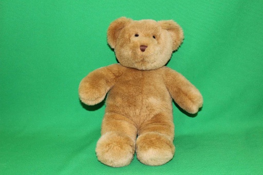 [PTA-028] Teddy Bear