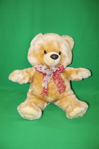 [PTA-034] Teddy Bear