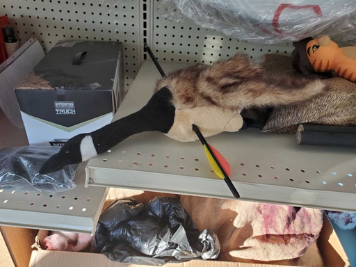 [PTA-038] Plush Goose