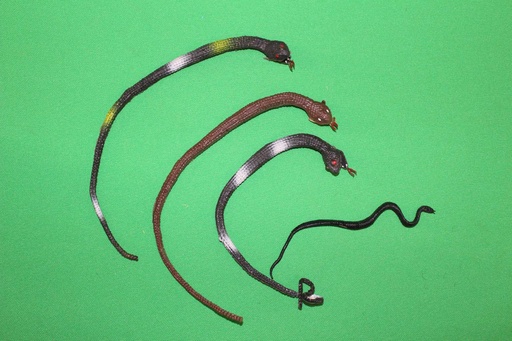 [PTA-039] Toy Snakes