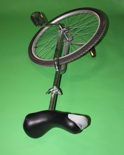[PTB-005] Unicycle