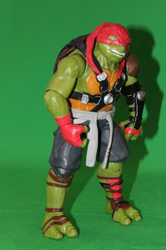 [PTD-002] TMNT Action Figure