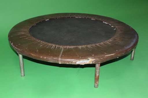[PTS-001] Trampoline