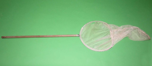 [PTS-002] Butterfly Net