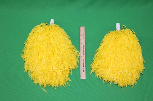 [PTS-041] Pom Poms