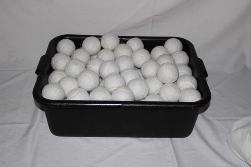 [PTS-059] White Tennis Balls