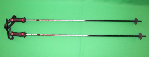 [PTS-070] Ski Poles