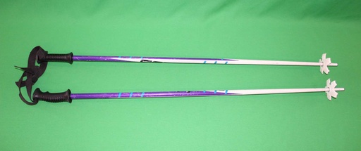 [PTS-071] Ski Poles