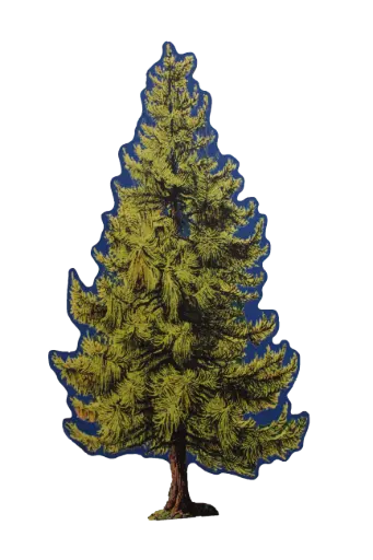 [PDF-030] Pine Tree Flat - Small