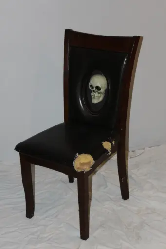 [PFC-133] Skull Chair