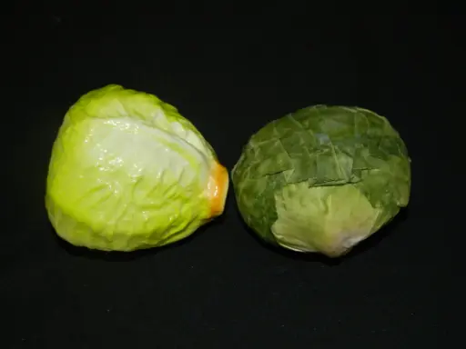 [PKF-147] Head of Lettuce