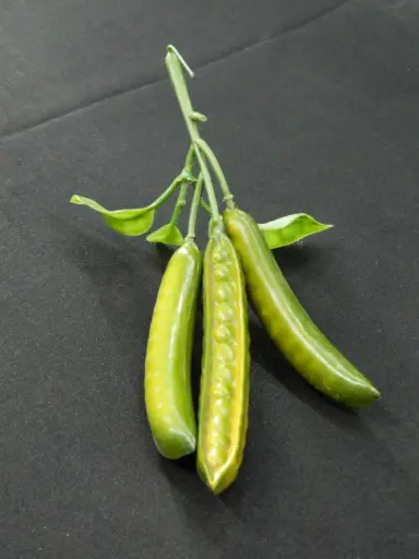 [PKF-154] Pea Pod Stem